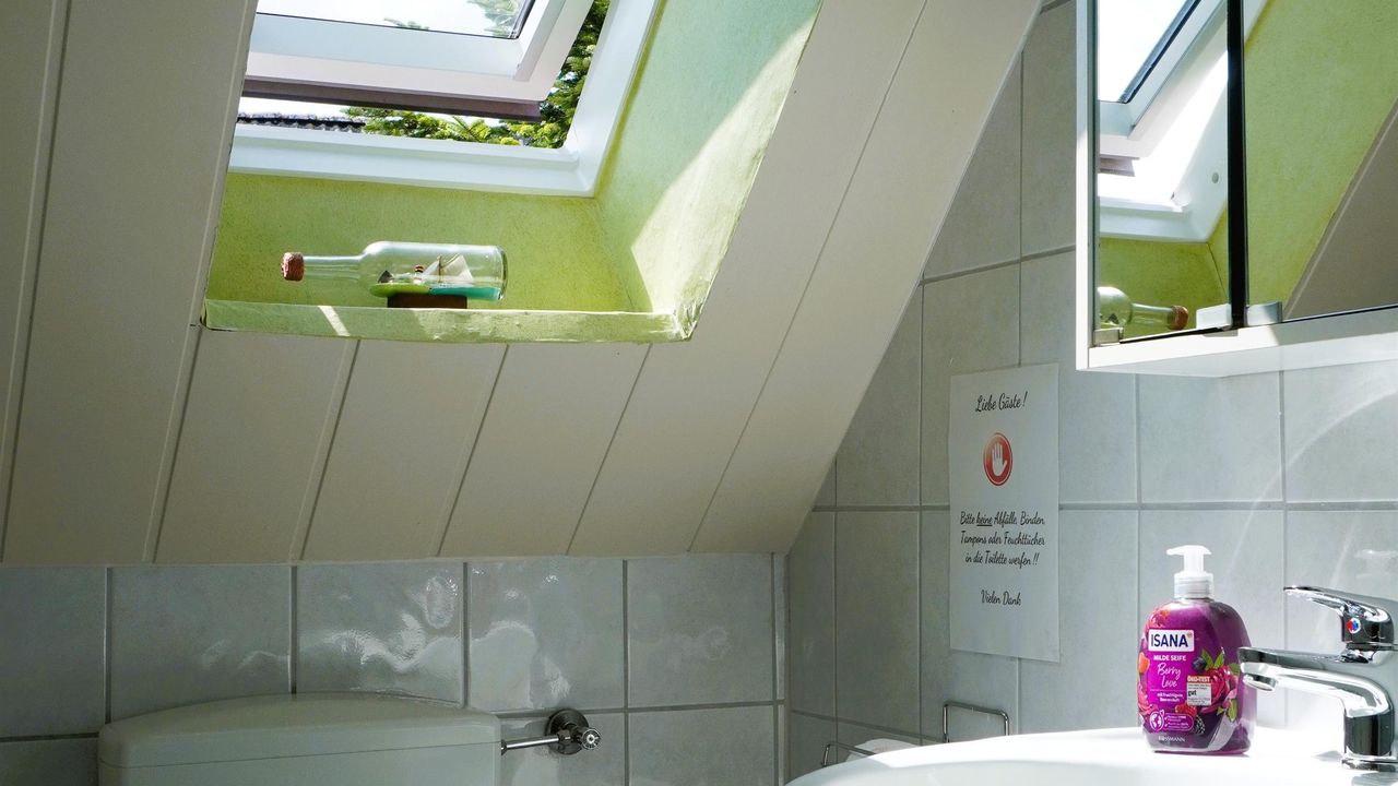 WC, Waschtisch und Dusche WC, Waschtisch und Dusche